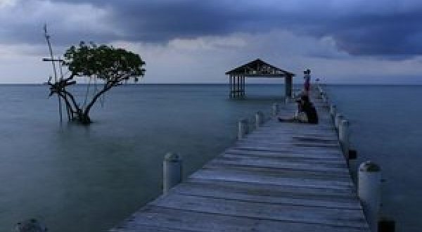 Pulau Biawak Indramayukabgoid